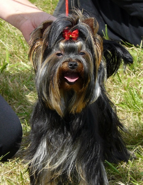 Best in show du Ly's D'Eden